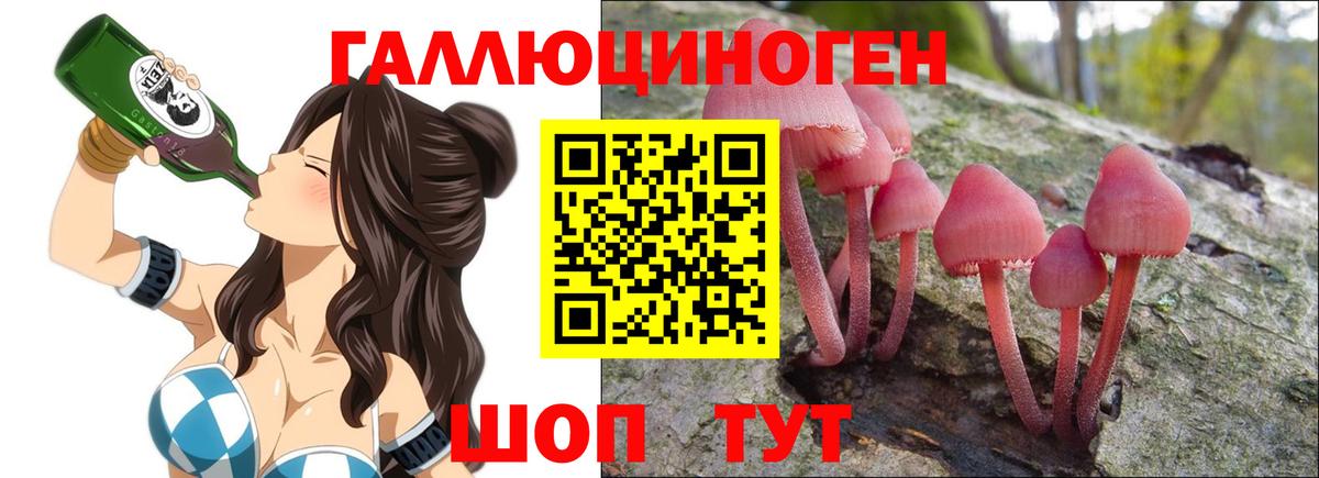 Киселёвск  Галлюциногенные грибы GOLDEN TEACHER  где можно купить наркотик  Вход с VPN 