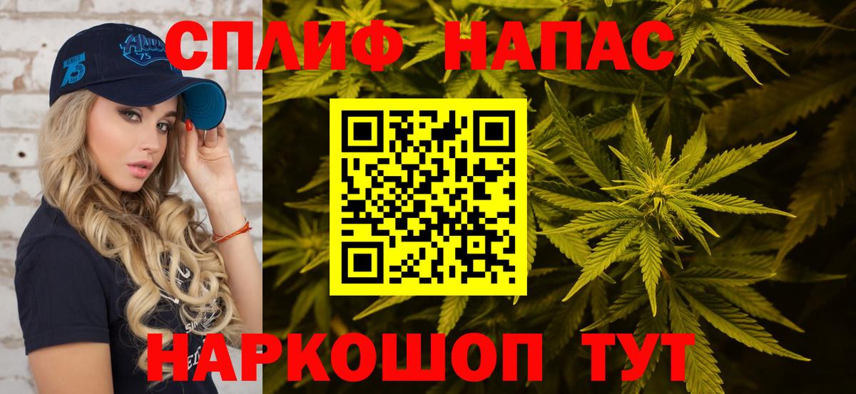 Бошки Шишки гибрид Киселёвск